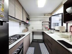 RiverParc Residence (D19), Condominium #483539391
